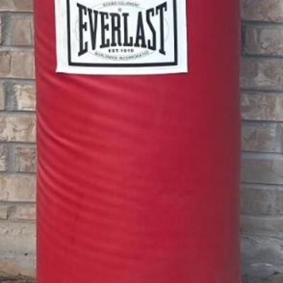 Everlast 42 Inch Punching Bag With Chain 