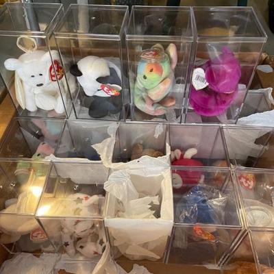Incased Beanie Babies 
