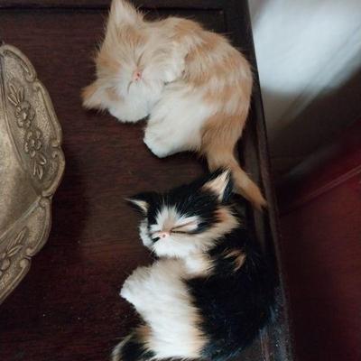 Kittys