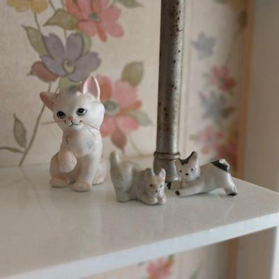 Mini kittens