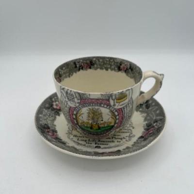 50 staffordshireteacup