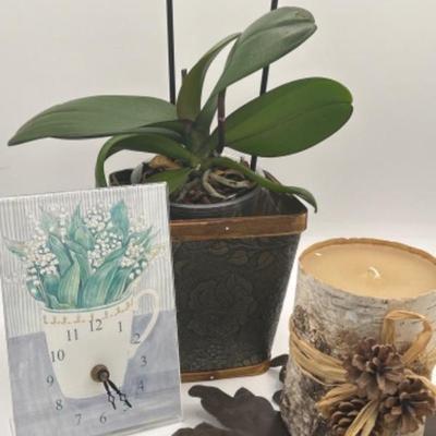 3 plantandmetalsunburstcandleholder