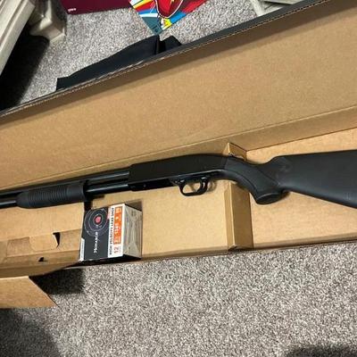 Never fired, 12 gauge 
