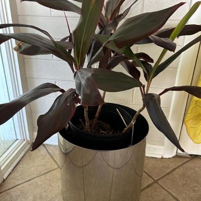 Ti Plant • $27 • 1970’s • Stainless Steel • Planter • 15”dia x 13.5”h • $75
