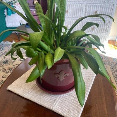 Estate Sales By Olga in Roselle Park, NJ 2024