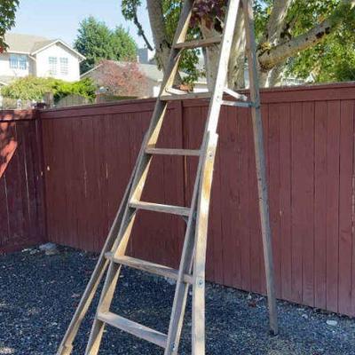 9-10 Foot Orchard Wooden Ladder
