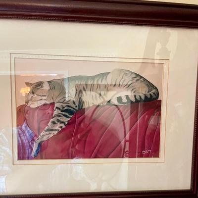 Cat pictures
