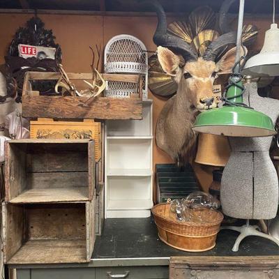 vintage home decor, crates, taxidermy, vintage furniture, light fixtures