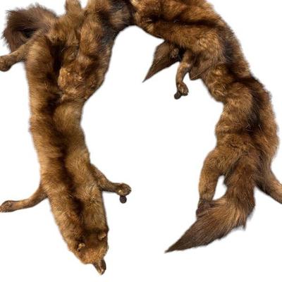 GROUPING OF VINTAGE FUR PELTS
