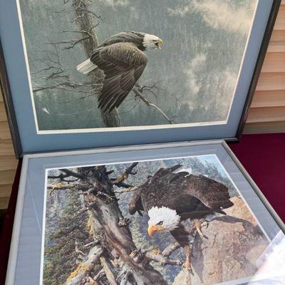 (2) Framed Eagle Numbered Prints
1989 - 14,425/42,558 Robert Bateman Screaming Eagle framed. 43.5x33 (Frame has some damage along edges...