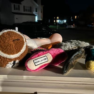 Lots of dog toys!