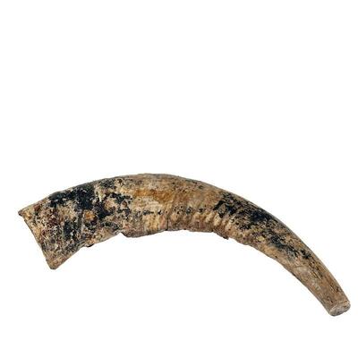 Come into our showroom October 18-20, 10am-5pm to purchase this item.
