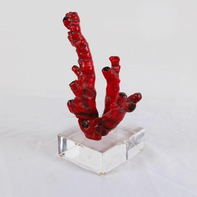 Come into our showroom October 18-20, 10am-5pm to purchase this item.