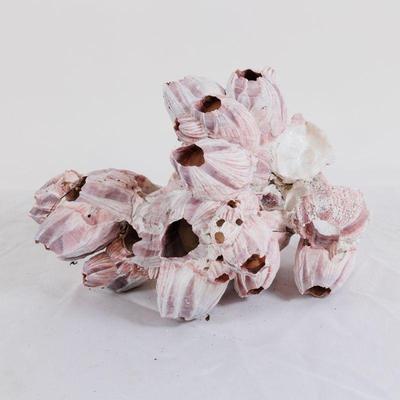 Come into our showroom October 18-20, 10am-5pm to purchase this item.