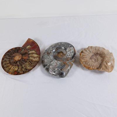 Come into our showroom October 18-20, 10am-5pm to purchase this item.