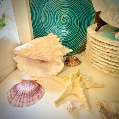 Sea shell plates, conch book ends, and sea shells