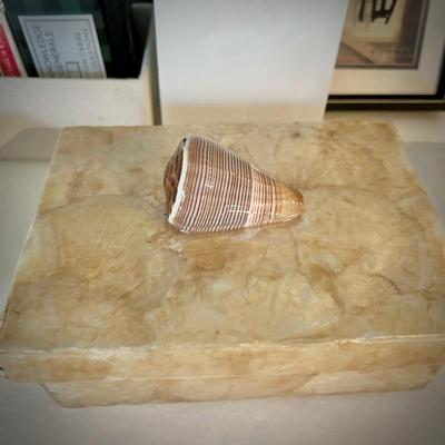 Shell boxes