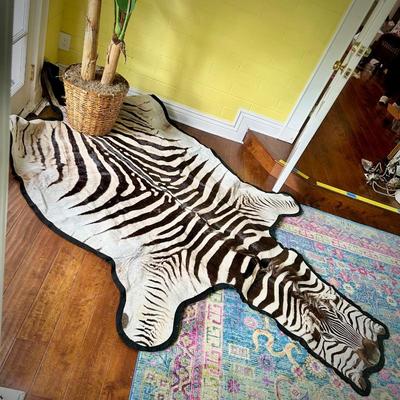 Authentic zebra hide - can use as a rug, a wall-hanging, or a throw