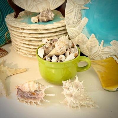 Sea shell plates, conch book ends, and sea shells