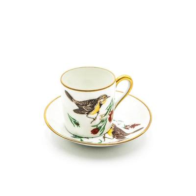 Limoges Castel France Porcelain Cup & Saucer