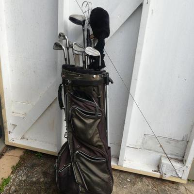 Golden Bear TranZition 12 Clubs & Bag