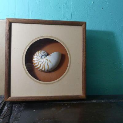 Vintage Fiji Giftware San Diego Nautilus Shell Shadow Box - 13" Square x 2"