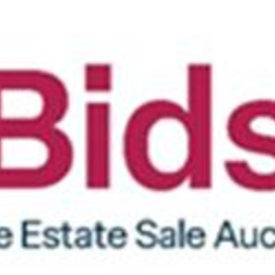 Sandy.CTBids.com