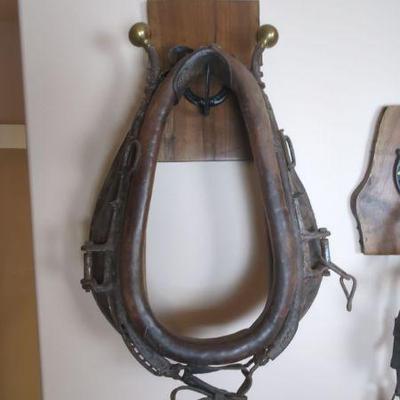 Leather Horse collar Harness Heavy Cast Iron Yoke with Brass Accent