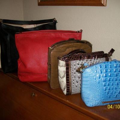 Brahmin and Coach