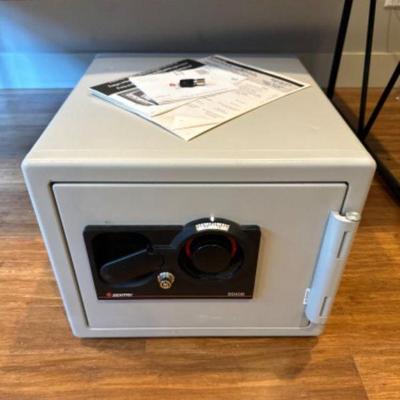 Sentry Safe w/ 2 Trays & Dual Lock	