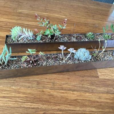 Two 32" Stainless Steel Planters w/ Succulents & Cacti - Set 2	