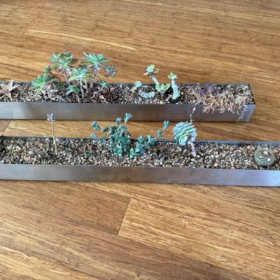 Two 32" Stainless Steel Planters w/ Succulents & Cacti - Set 1	