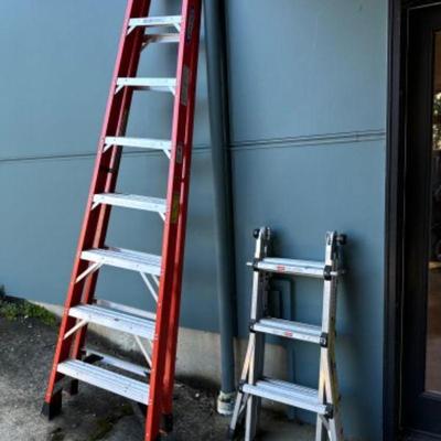 Multi-Purpose Ladder Set: Werner & Gorilla	