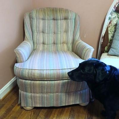 Dog is not for sale!