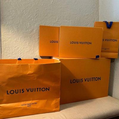 Louis Vuitton Bags and Boxes