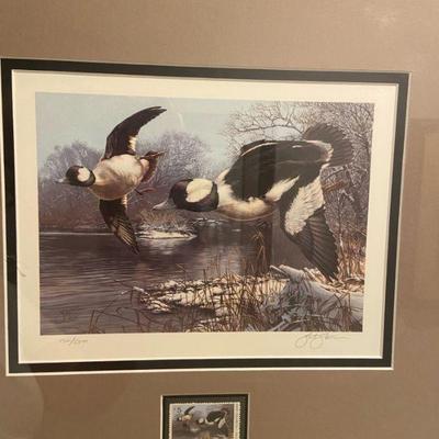 Ducks Unlimited