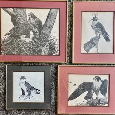 (3) Stephen Towen Limited Edition Falcon Prints And (1) Ray 1982 Falcon Print