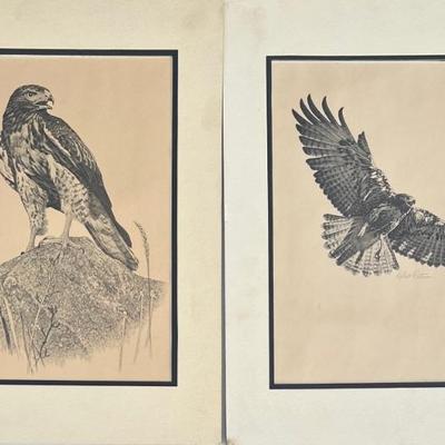 Pair Of Unframed Robert Katona Signed Falcon Prints