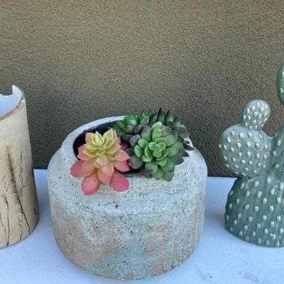 Wildwood Hand Made Pottery Planter And HD Designs Cactus, And Hobby Lobby Cement Planter