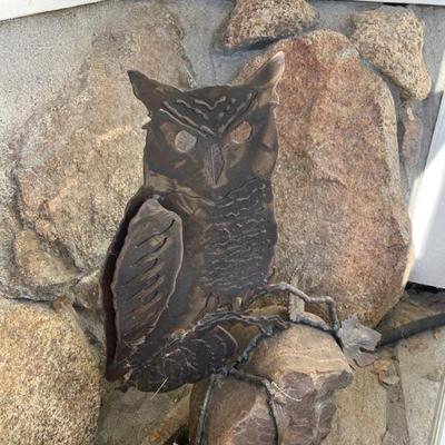 Owl 