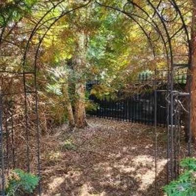 Arbor Outdoor - 55" Width X 27" Depth X 89" Height 