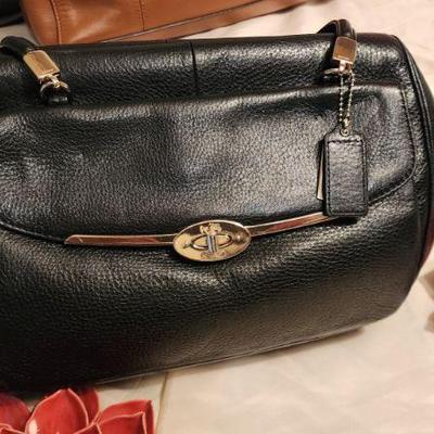Coach Purse/ Handbag Collection 