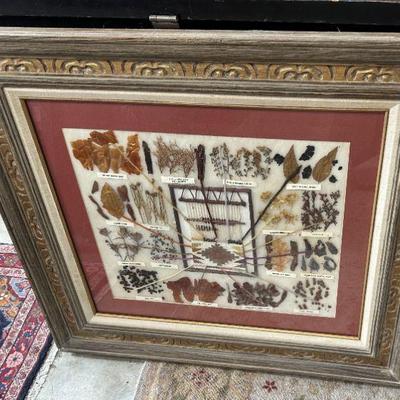 Framed Navajo Dye Display 16" x 19" 