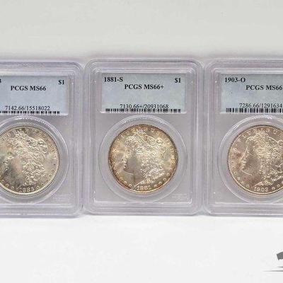 #1338 • (3) 1881-1903 Morgan Slvr Dlrs Graded