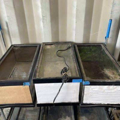 #4050 • (3) Small Reptile Aquariums
