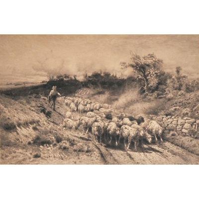 PETER MORAN (1841-1914) | Shepherd in field. Etching. Pencil signed lower right. 20.5 x 15 in. (sight) - h. 24.75 x w. 30.5 in (Framed)

