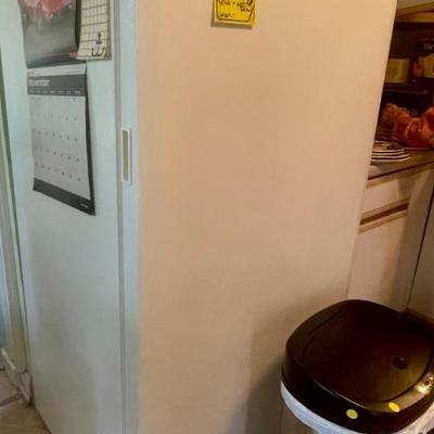 clean working freezer