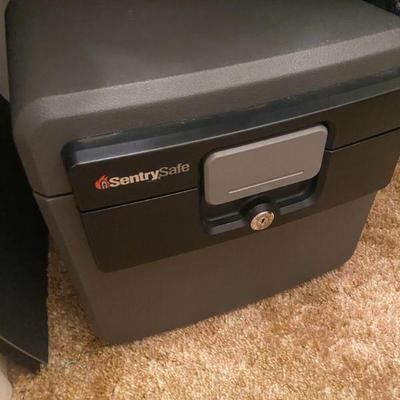 Sentry Safe
