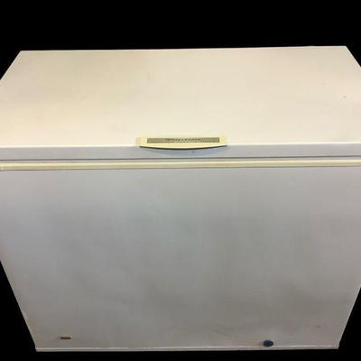 TEWA602 Frigidaire Chest Freezer	This lot has a Frigidaire heavy duty commercial chest freezer model #FFC09C3AW4. Tested and works. 
