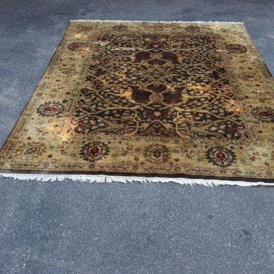Hand Knotted Wool Area Rug
